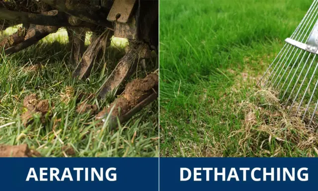 Left side shows aerating a lawn. Right side shows a rake removing thatch, which is a layer of dead grass and debris.