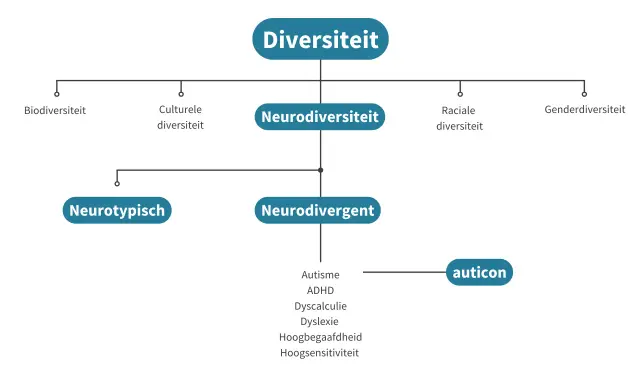 Diagram toont diversiteit, met neurodiversiteit als subcategorie. Neurodivergent omvat autisme, ADHD, dyslexie, etc.