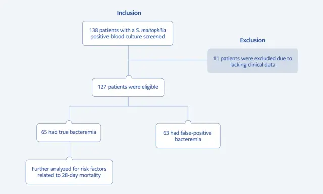 Diagramma di flusso: 138 pazienti con Stenotrophomonas maltophilia inclusi, 11 esclusi. 127 idonei, 65 con batteriemia reale, 63 con batteriemia falsa.