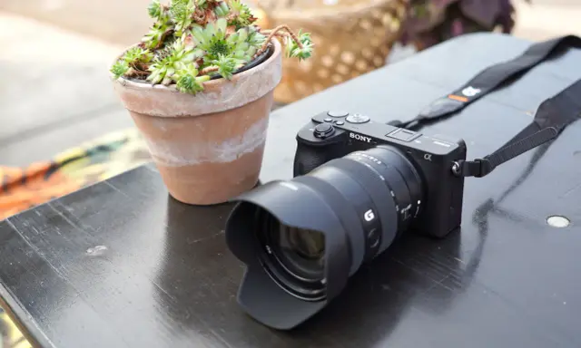 Cámara Sony a6600 con lente y suculenta en maceta sobre mesa de madera.