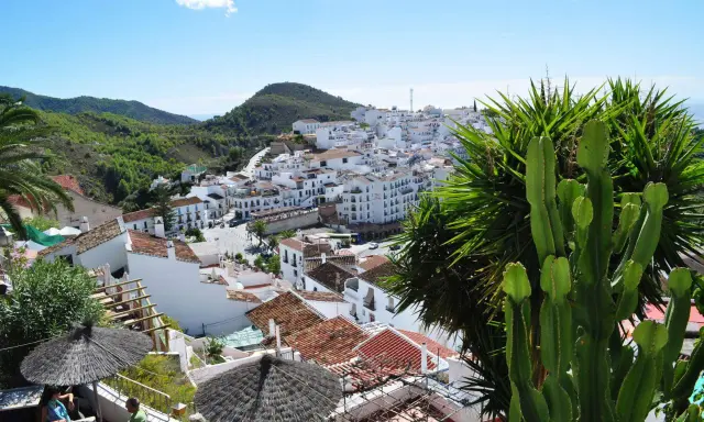 Vista panorámica de pueblos blancos andaluces, típicos de la costa, con montañas verdes al fondo. Un cactus gigante y palmeras en primer plano.