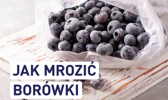 Mrożone borówki w woreczku. Dowiedz się, czy borówki można mrozić i jak to zrobić, by zachowały świeżość.