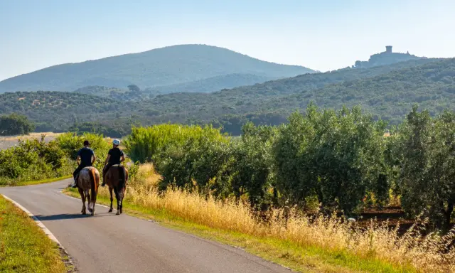 Due cavalieri godono di una **passeggiata a cavallo toscana** tra ulivi e colline, con un castello in lontananza.