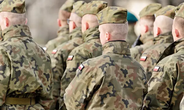 Żołnierze w mundurach polowych stoją w szeregu, widok z tyłu.
