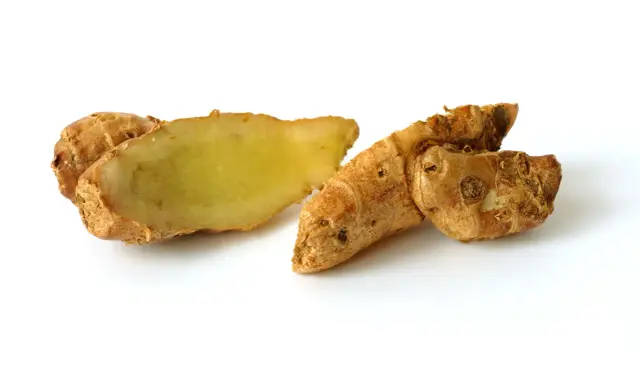Racine de galanga coupée, révélant sa chair jaune pâle. Un ingrédient aux multiples galanga bienfaits pour la santé et la cuisine.