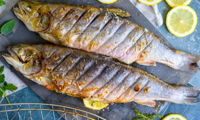Zwei gegrillte Saiblinge liegen auf einem Steinplatte, garniert mit Zitronenscheiben und Kräutern. Perfekt für den Grill – wie lange dauert das?