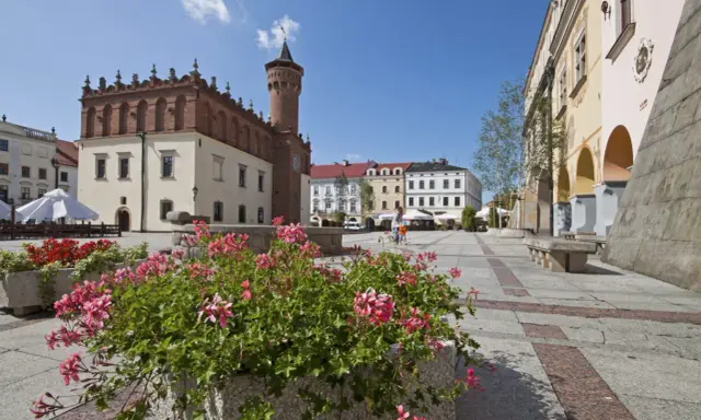Tarnów co zwiedzić? Rynek z ratuszem i kwitnące pelargonie. Idealne miejsce na spacer i odkrywanie uroków miasta.