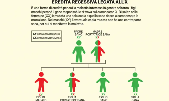 Albero genealogico che illustra le sindromi genetiche nei bambini, con un padre sano e una madre portatrice sana, mostrando la trasmissione del gene recessivo legato all'X.