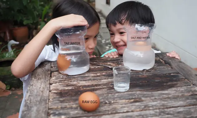 Niños observan un huevo flotando en agua salada y otro hundido en agua normal, parte de sus experimentos con agua.