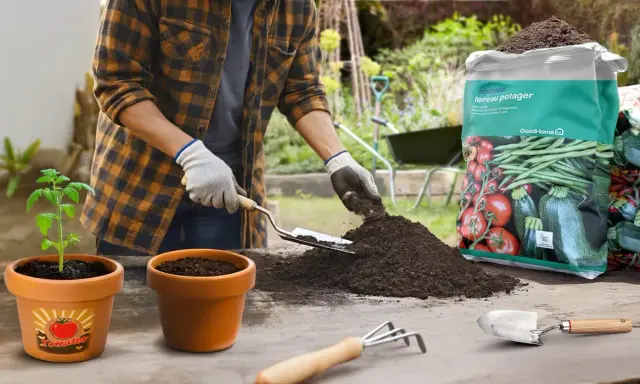 Un jardinier prépare un terreau potager, idéal pour les légumes, avec une jeune pousse de tomate.