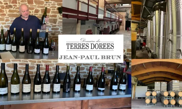 Jean-Paul Brun, vigneron du Domaine des Terres Dorées, présente ses vins. La cave et les cuves de vinification sont visibles.