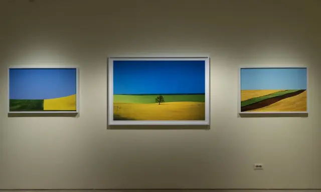 Tre quadri di un fotografo ritraggono campi coltivati con colori vivaci, un albero solitario e un cielo azzurro.