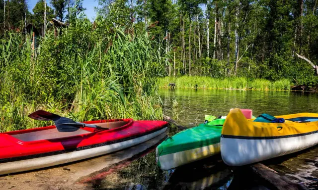 Trzy kolorowe kajaki czekają na brzegu rzeki Krutynia. Woda odbija zieleń drzew i niebo.