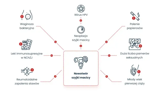 Wirus HPV, palenie, duża liczba partnerów seksualnych, młody wiek pierwszej ciąży, waginoza, leki immunosupresyjne i reumatoidalne zapalenia stawów to czynniki ryzyka, jak można zarazić się HPV i zachorować na nowotwór szyjki macicy.