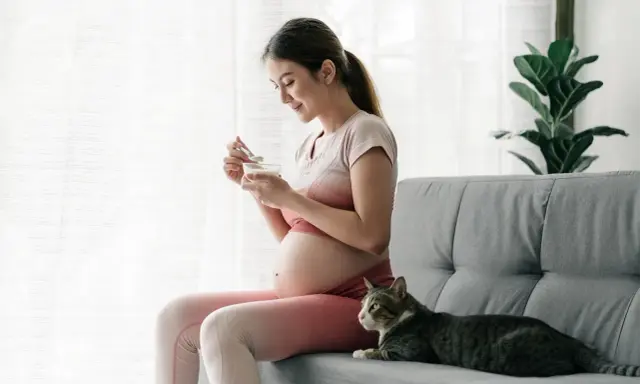Schwangere Frau isst Joghurt, Katze liegt daneben. Achtung bei Toxoplasmose Symptome Schwangerschaft.