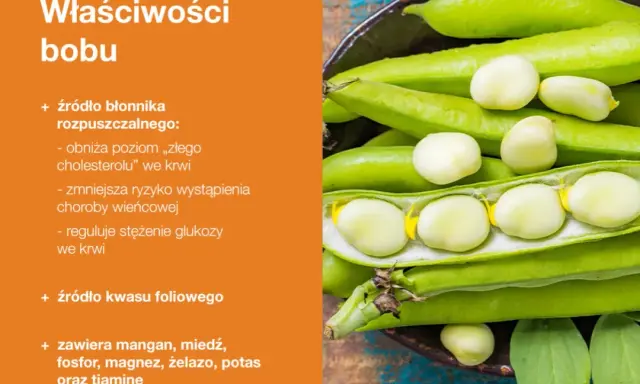 Bób, bogaty w błonnik, reguluje poziom cholesterolu i glukozy we krwi, zmniejszając ryzyko chorób serca. Czy bób jest kaloryczny? Jest zdrowy i pełen witamin.