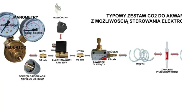 Schemat zestawu do podawania CO2 w akwarium: butla, reduktor, elektrozawór, wężyk, dyfuzor.