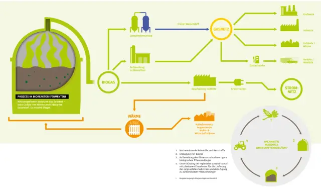 Schema zeigt, wie aus Biogas durch verschiedene Prozesse grüner Strom und Wärme für Kraftwerke, Industrie und Haushalte erzeugt wird.