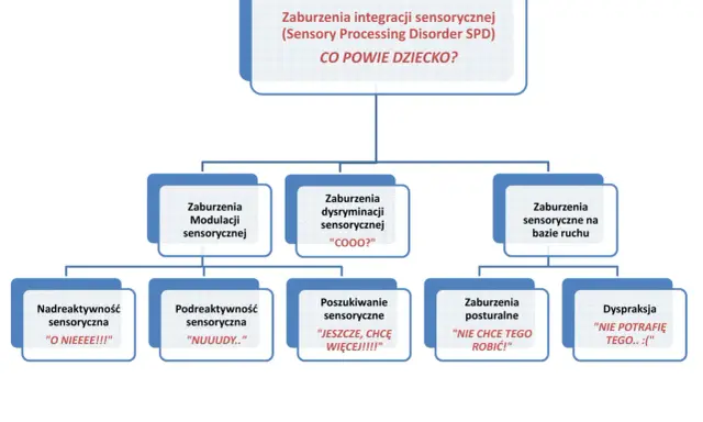 Zaburzenia sensoryczne: Uleczalne czy zarządzalne? Prawda o SI
