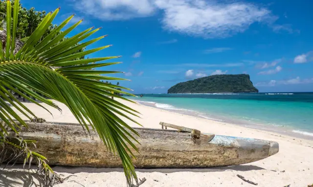 Piękna plaża na wyspach Samoa z tradycyjną łodzią i palmą w tle.
