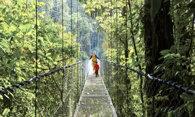 Un adulto y un niño caminan por un puente colgante en la exuberante selva de Costa Rica con niños, disfrutando de la aventura.