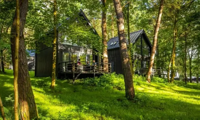 Nowoczesne **hotel w lesie**, z drewnianymi tarasami i dużymi oknami, otoczony zielenią.