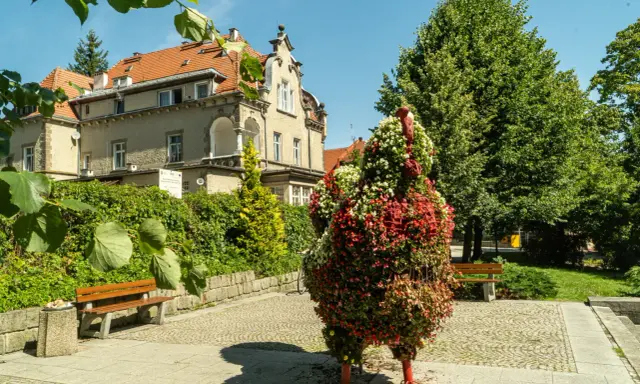Kwiatowa rzeźba pawia wita gości w Dusznikach Zdroju. W tle zabytkowa willa i bujna zieleń.