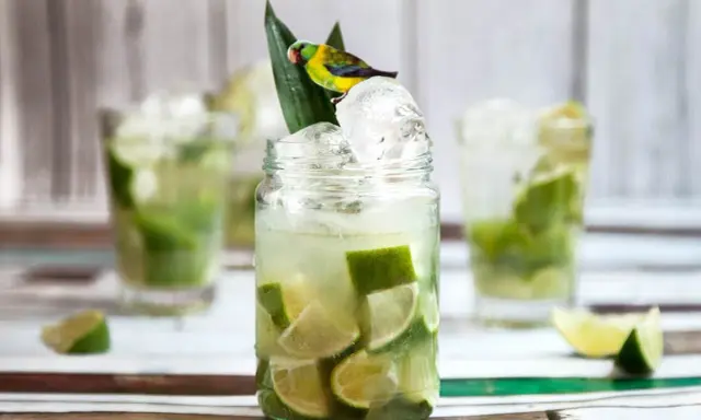 En härlig caipirinha med lime och is, dekorerad med en liten papegoja. Perfekt för ett somrigt caipirinha recept.