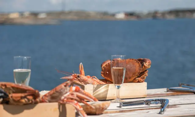 Skaldjur och bubbel vid havet, en perfekt aktivitet i Göteborg.