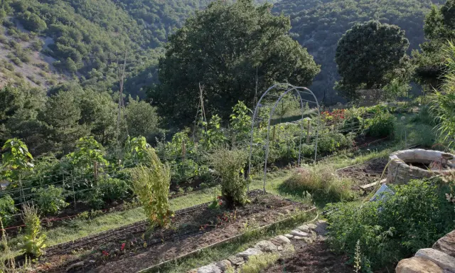 Un potager en pente raide, avec des rangées de légumes et une arche métallique, s'étend sur un flanc de colline verdoyant.