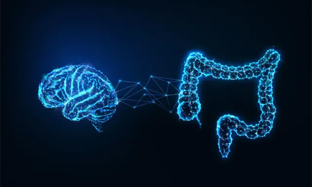 Rappresentazione stilizzata del cervello e dell'intestino collegati da una rete luminosa, che illustra l'asse intestino cervello.