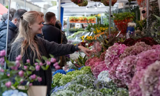 Une jeune femme admire la taille des hortensias Vanille Fraise sur un marché aux fleurs.
