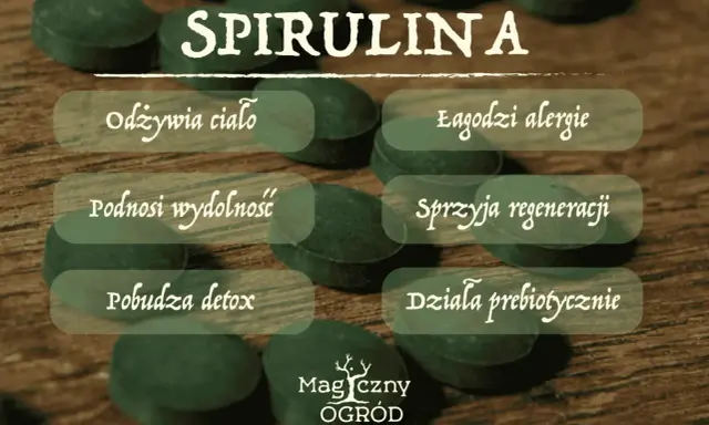 Spirulina: odżywia, łagodzi alergie, podnosi wydolność, sprzyja regeneracji, pobudza detox. Dla kogo spirulina? Dla każdego, kto dba o zdrowie.