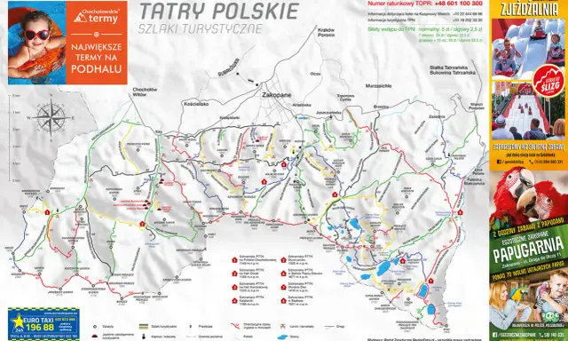 Zakopane: Jakie szlaki? Wybierz idealną trasę w Tatrach!