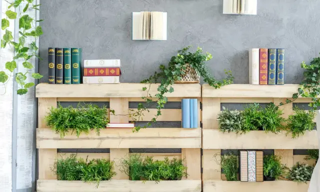Scaffali in pallet con piante e libri, perfetti per idee per abbellire casa fai da te.