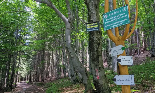 Leśna ścieżka prowadzi do Hali Krupowej. Znaki wskazują trasę i informują o ostoi zwierząt.
