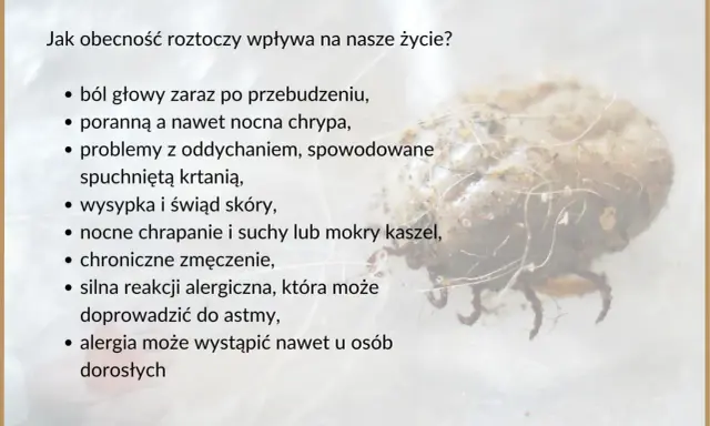 Roztocza, niewidoczny kurz, wywołują alergie, bóle głowy, problemy z oddychaniem i kaszel.