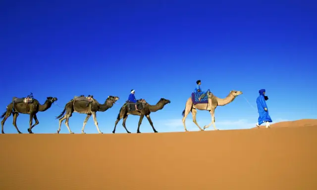 Ein Berberstamm in der Sahara durchquert die Dünen. Kamele mit Reitern und Gepäck ziehen unter blauem Himmel.