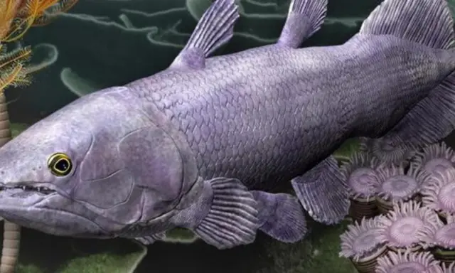 Un antico celacanto pesce, con scaglie violacee e pinne lobate, nuota tra anemoni marini e crinoidi.