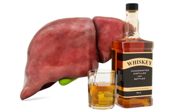 Wątroba obok butelki whiskey i szklanki z alkoholem symbolizuje negatywne skutki nadmiernego spożycia alkoholu, czyli spalanie alkoholu.