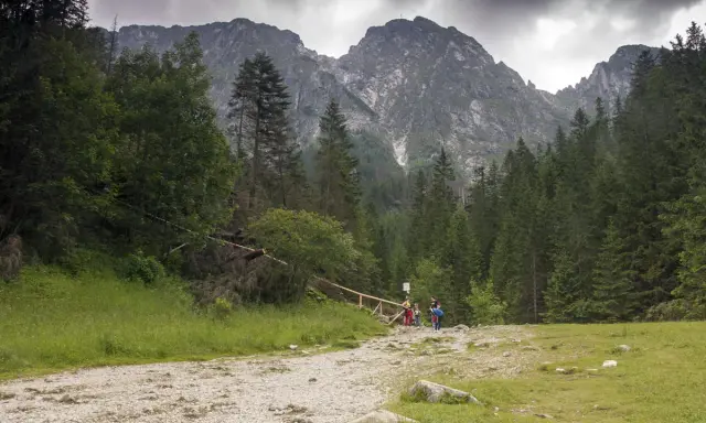 Rodzina wędruje przez Dolinę Strążyską w kierunku Giewontu, otoczona gęstym lasem i skalistymi szczytami.