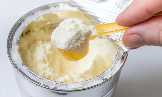 Eine Hand schöpft mit einem gelben Löffel feines Pulver aus einer Dose. Manche denken, dass Proteinpulver dick machen kann, doch es kommt auf die Menge an.