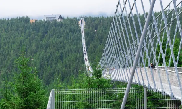 Most na Dolní Moravě, widok z góry. Sprawdź cennik i wybierz się na spacer po tej niesamowitej konstrukcji.