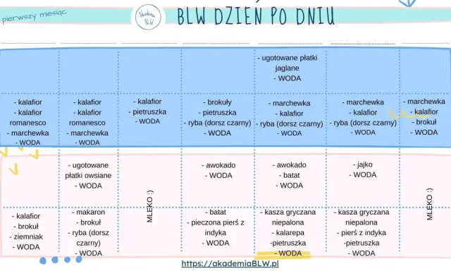 Tabela BLW: pierwszy miesiąc, tydzień 1 i 2. Jak rozszerzać dietę niemowlaka tabela z propozycjami posiłków i napojów.