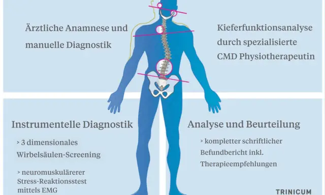 Schema zur Diagnose von Haltungsschäden, die auch den Kiefer betreffen können. Ein Bandscheibenvorfall im Kieferbereich wird hier mit anderen Diagnostiken verglichen.