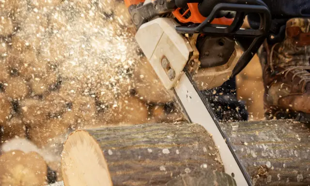 Pilarka elektryczna Stihl czy Makita? Wybierz idealną dla siebie!