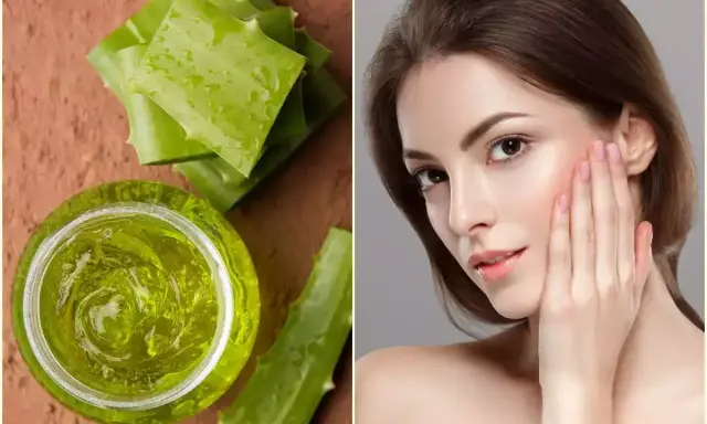 Gel di aloe vera: scopri a cosa serve per una pelle radiosa e idratata.