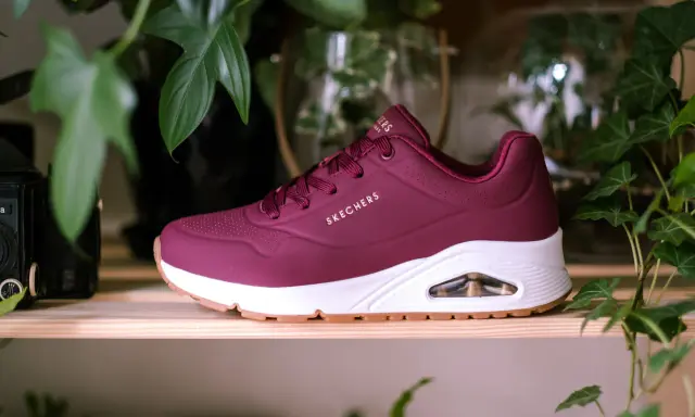 Bordowy but Skechers z białym spodem i brązową podeszwą, otoczony zielonymi liśćmi. Dowiedz się, jak wyczyścić sznurówki, aby buty wyglądały jak nowe.