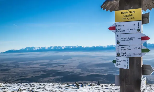 Babia Góra Diablak, 1725 m n.p.m. – jakie to góry? Widok z szczytu na pasmo Tatr i Beskidów, z tabliczkami szlaków PTTK.
