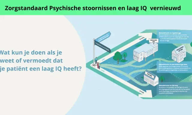 Illustratie van zorgpaden voor patiënten met psychische klachten en een laag IQ. Een kruispunt toont de keuze tussen reguliere GGZ, specialistisch GGZ team of ZVB-zorg.